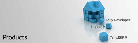 Business Management Software Solution